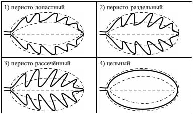 Форма листа