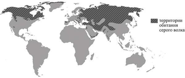 Территория обитания серого волка