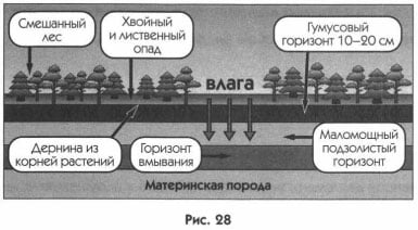 Рисунок 28