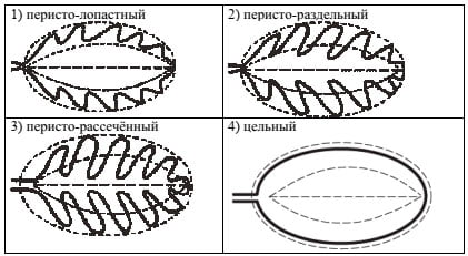 Форма листа