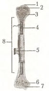 Рисунок к заданию 1-3